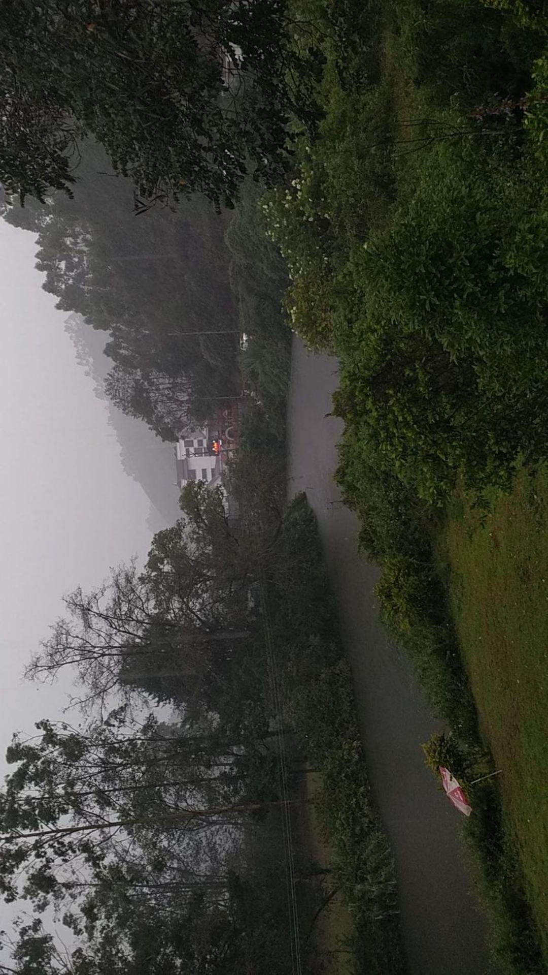 Sisiram River Side Munnar Extérieur photo